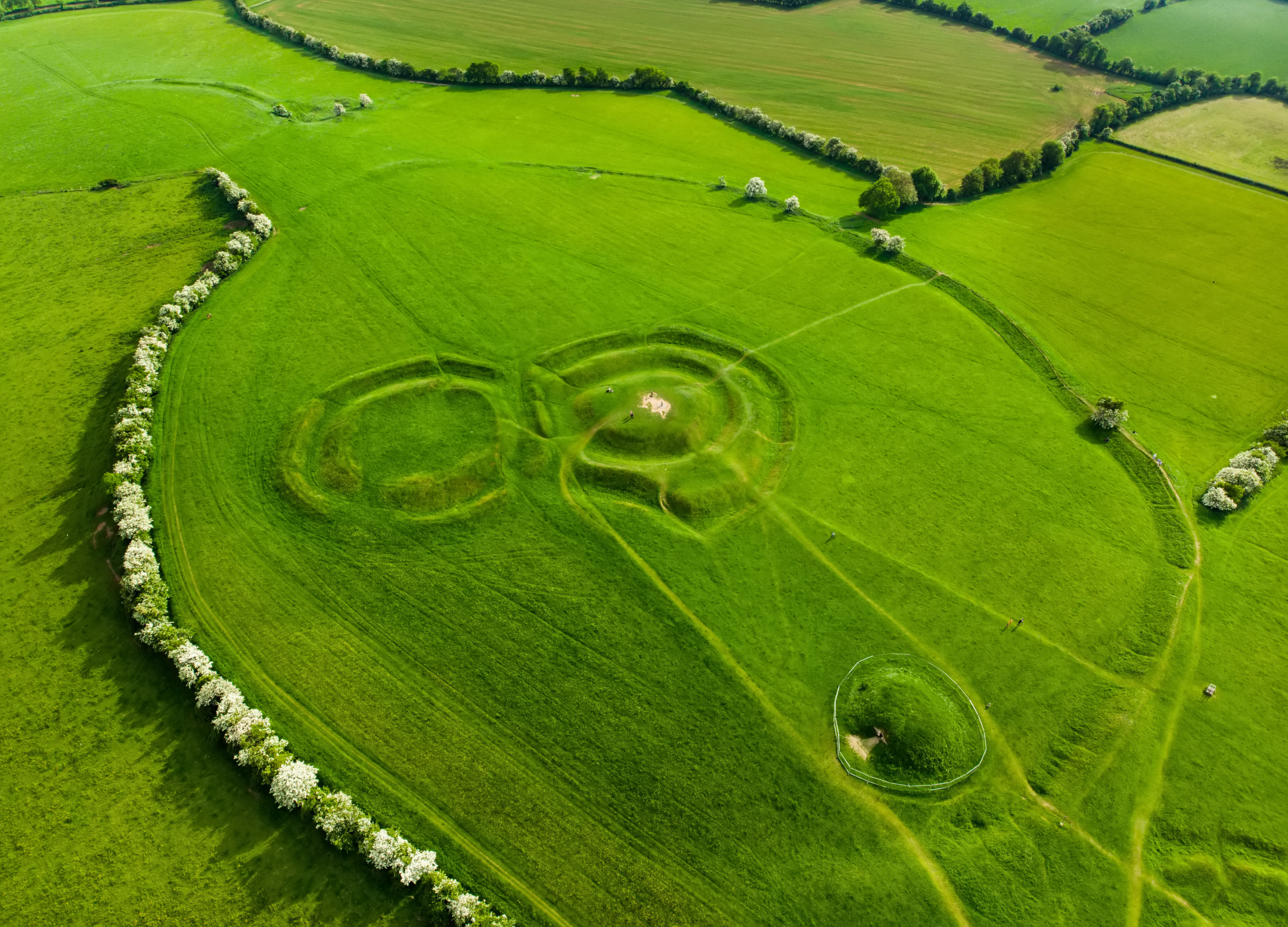 Read more about the article The Hill of Tara