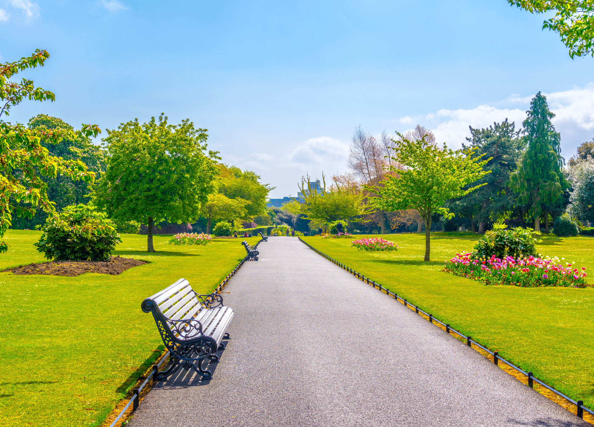 Read more about the article The Phoenix Park